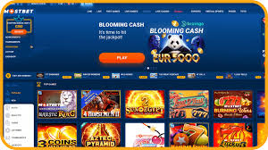 Mostbet Online Casino Site in Bangladesh: Functions, Benefits, and A lot more